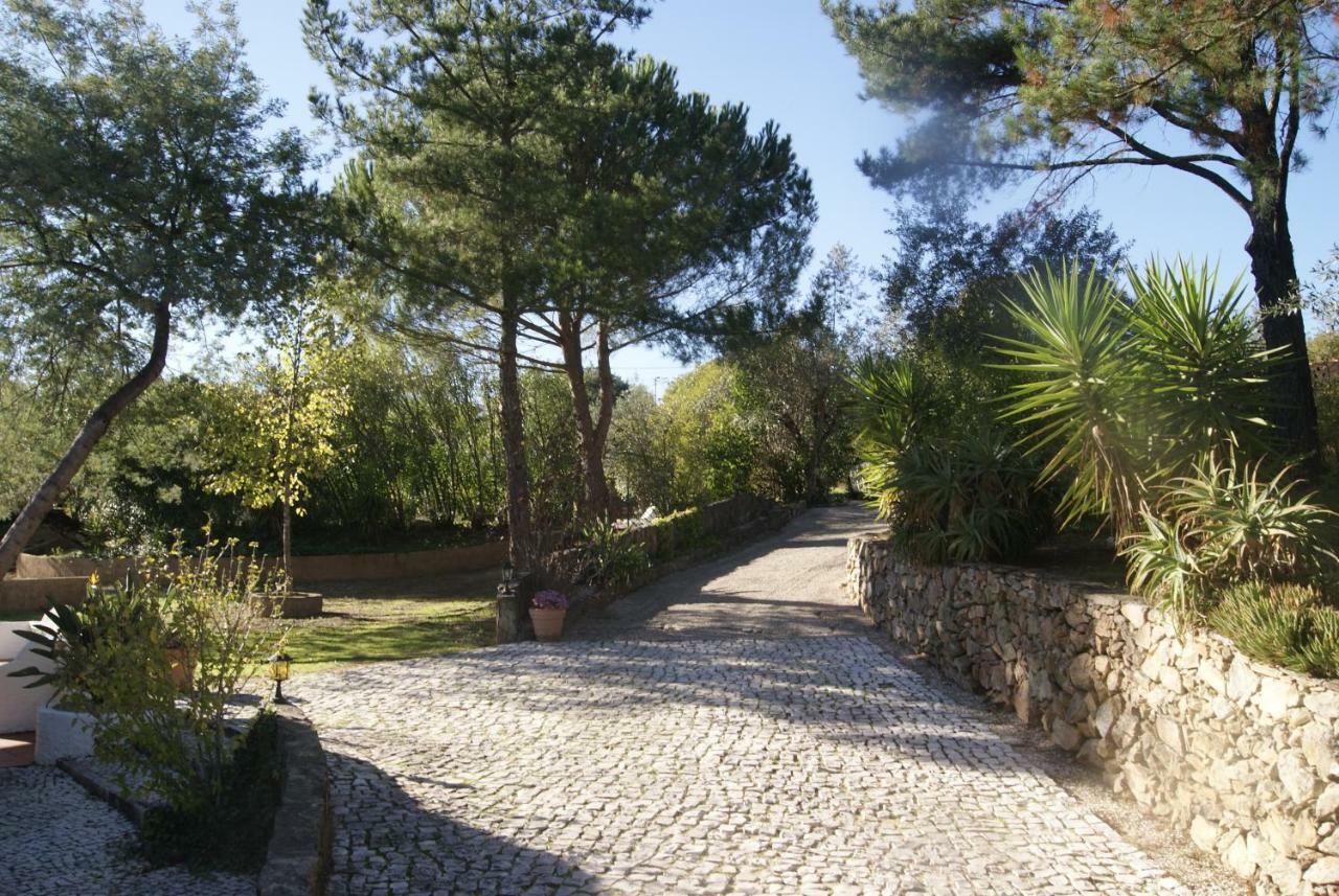 Casa Do Vale Villa Sao Pedro de Tomar Buitenkant foto