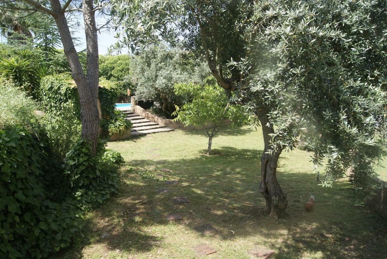 Casa Do Vale Villa Sao Pedro de Tomar Buitenkant foto